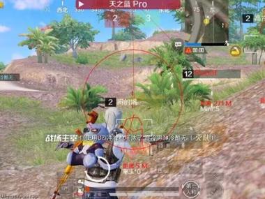 西西辅助和平精英免费